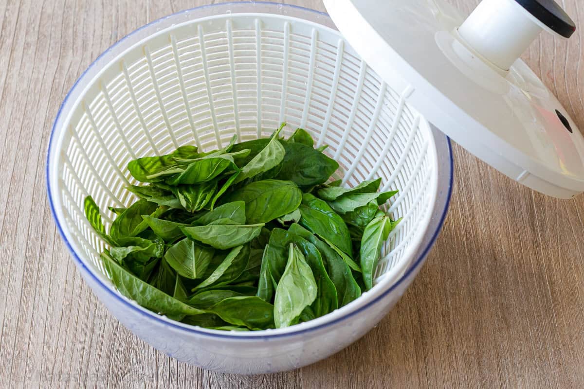 This homemade pesto tastes way better than storebought. Basil pesto is easy to make and so versatile as a sauce, dip, spread, and topping. Fresh basil leaves in salad spinner